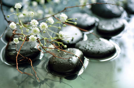 Spring branch under stones in water, spa spring concept, stylized photo