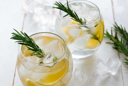 Lemon and rosemary refreshing alcoholic drink, soda or fizz