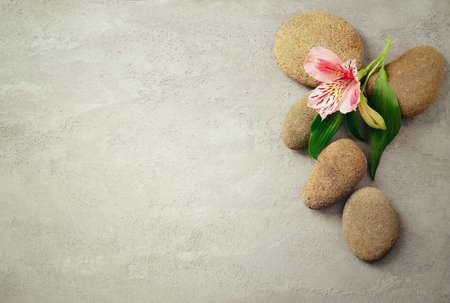 Spa background with stones and purple flower, top viewの写真素材