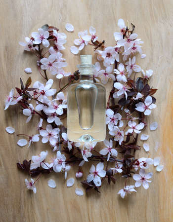 Natural spa product concept, spa essential oil or lotion in glass bottle, top viewの写真素材