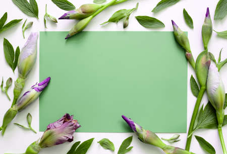 Floral background, iris buds, view from above