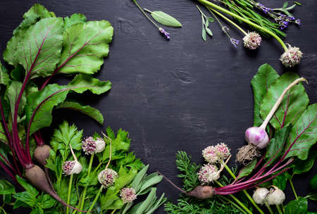 Summer garden green herbs, vegetables and flowers, view from aboveの写真素材