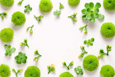 Floral spring fresh background, top view, flat lay compositionの写真素材