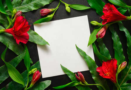 Dark floral botanical background with a space for a text, top view