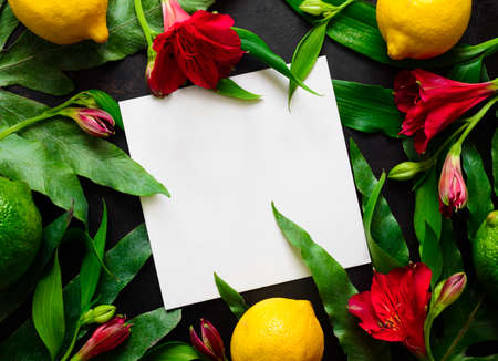 Dark summer tropical background with a space for a text, view from above