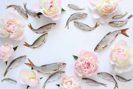 Fishes and peonies background with a space for a text, unusual food decor concept, view from above,...