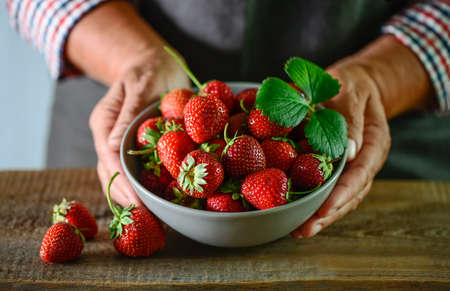 Woman farmer's hands are holding a bowl  full of freshly picked garden strawberries
