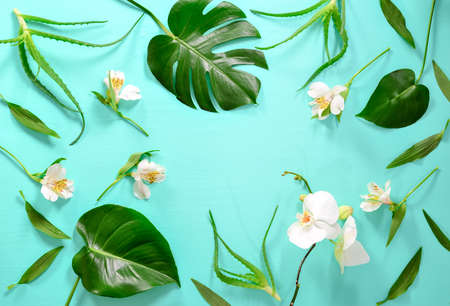Floral background with a space for a text, various geen leaves and flowers arranged in a flat lay...
