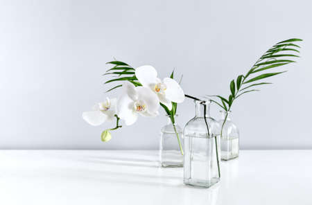 White orchid flower and palm leaves in vases on table top, front view composition with a space for a textの写真素材