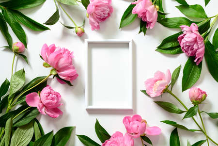 Peonies background with a frame space for a text, flat lay settingの写真素材