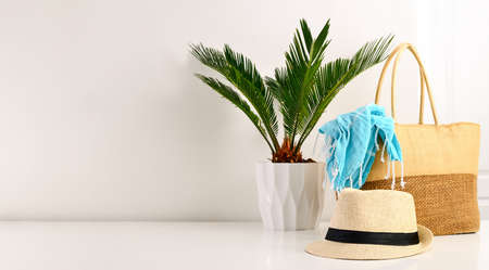 Summer background with a space for a text, white interior with potted palm and summer accessoriesの写真素材