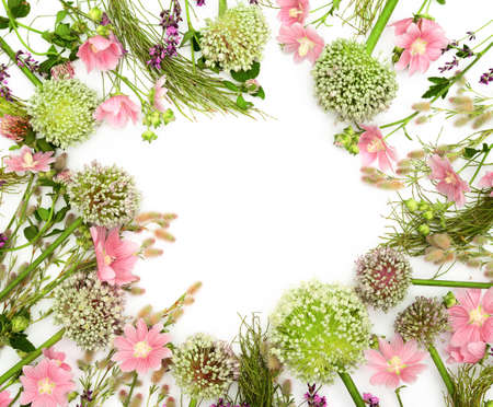 Wild flowers arranged in a flat lay composition with blank space for a text, view from aboveの写真素材