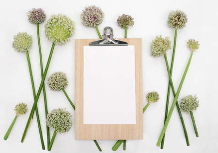Ad or poster template with onion flowers lying down flatly, overhead view, blank space for your textの写真素材
