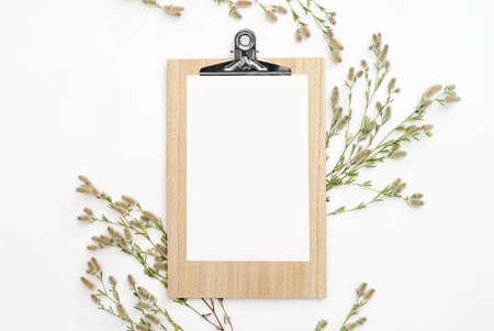 Natural coloured palette botanical background with a blank space for a text, flat lay compositionの写真素材