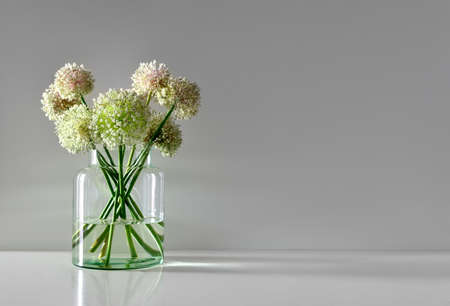Minimalistic flowers bouquet in simple glass vase, front view, space for a textの写真素材