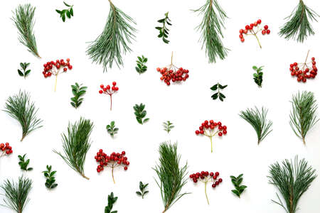 Winter holidays botanical composition with pine twigs and winter berries, flat lay