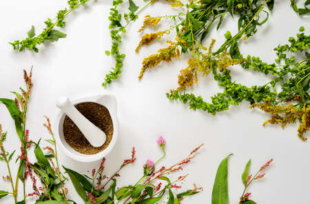 Spa healing cosmetic products based on medicine herbs, natural feminine skin care concept, flat layの写真素材