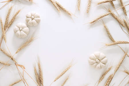 Fall or Thanksgiving greeting card template, flat lay composition with a blank space for a textの写真素材