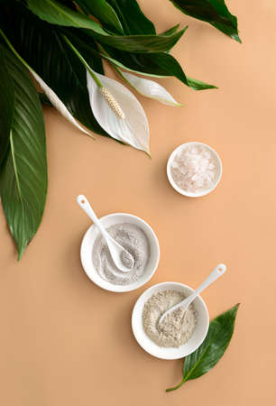 Spa background with natural cosmetic mineral clays and sea salt, view from aboveの写真素材