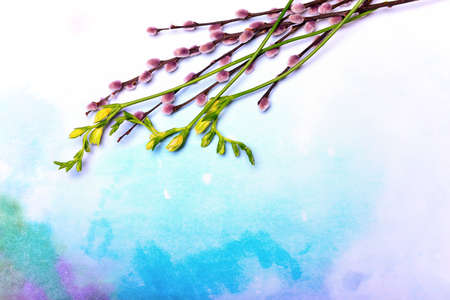 Floral decorative composition or spring greeting card template, flat lay, space for a textの写真素材