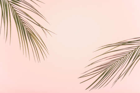 Flat lay tropical summer background, blank space for a text