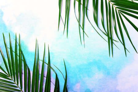 Flatlay summer background with blank space for a textの写真素材