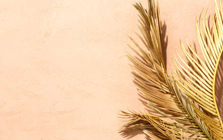Sunny summer tropical background with weathered palm leaves against textured surface strongly illuminated by the sunの写真素材