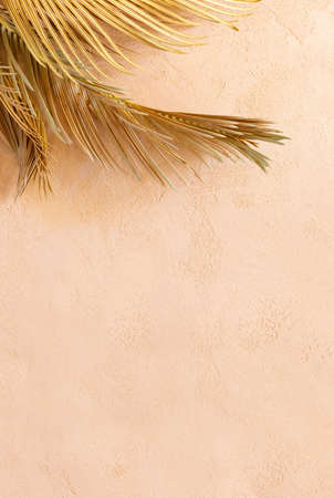 Sunny summer tropical background with weathered palm leaves against textured surface strongly illuminated by the sunの写真素材