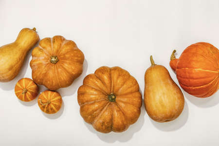 View from above on harvested pumpkins lying down on white background