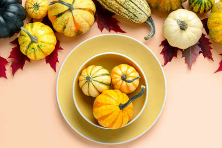 Autumn pumpkin decorative table setting, home decor concept, view from aboveの写真素材