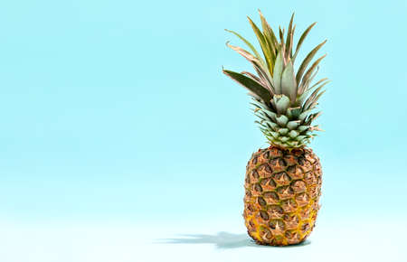 Summer food concept, popular summer fruit pineapple front view background with copy space for a textの写真素材