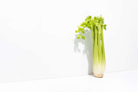 Fresh raw celery standing along the wall casting a shadow, front diagonal view, healthy culinary...