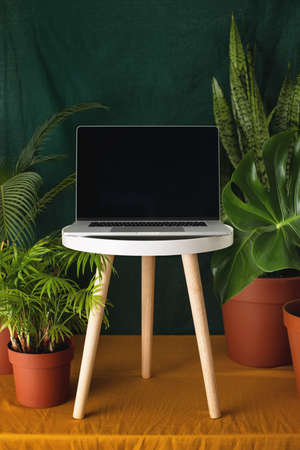 Working at home garden, laptop surrounded with green leafy potted plants, front view of the screen, blank space for a textの写真素材
