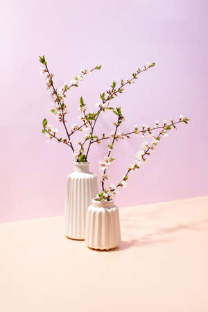 Spring blooming branches in vases, front view floral minimal composition in pastel colorsの写真素材