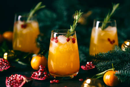 Tangerine pomegranate Christmas party fizz cocktail, front viewの写真素材