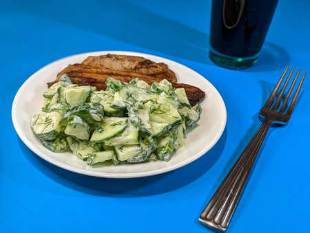 chicken steak and cucumbers in yogurtの写真素材