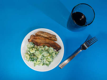 chicken steak and cucumbers in yogurtの写真素材