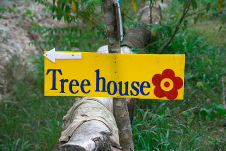 tree house sing koh chang island thailandの写真素材