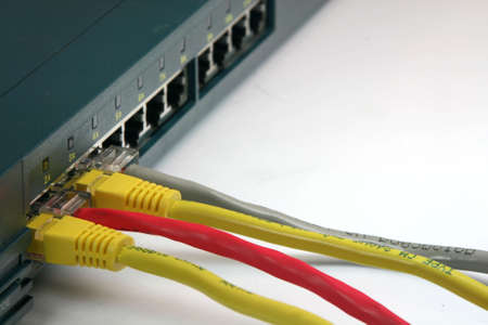 router hab with ethernet cables computer network