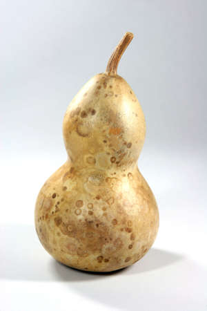 dry pumpkin closeup isolated to whiteの写真素材