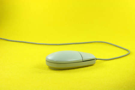 mouse in yellow background horizontal business conceptsの写真素材