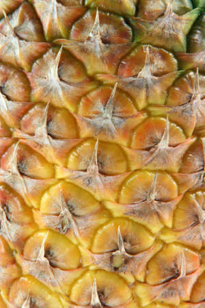 detail of ananas for background fruits vegetables and agriculture conceptsの写真素材