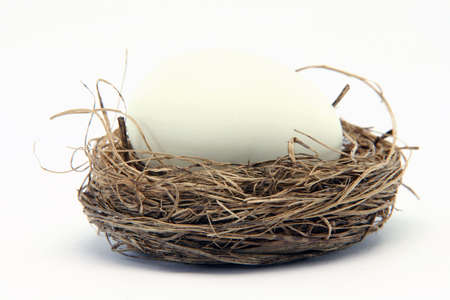 big white egg in a small nest isolated on white backgroundの写真素材