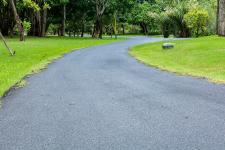 health walk in the parkの写真素材