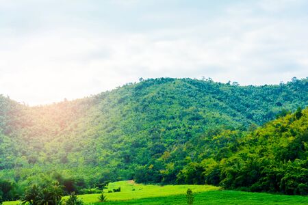 landscape Forest river View and sky at eveningの写真素材