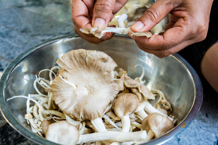Preparing to cook the mushrooms in a bowlの写真素材