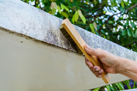 clean the house at eveningの写真素材