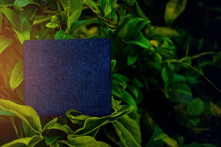 label blue fabric on green leafand texture background