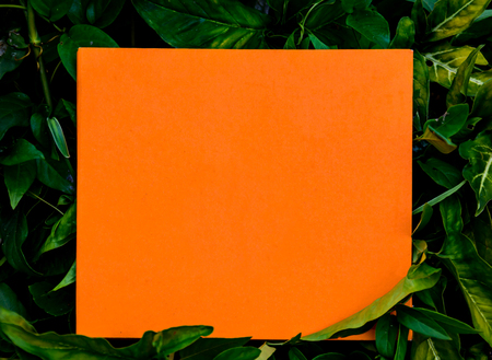 label orange paper on green leaf and texture backgroundの写真素材