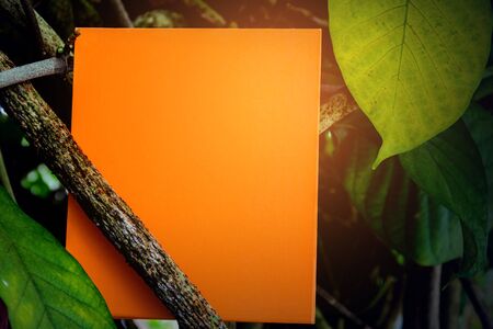 label orange paper on green leaf and texture backgroundの写真素材
